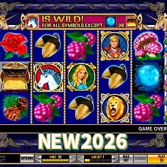 Ver Slots